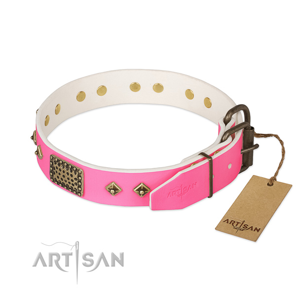 Rust resistant decorations on easy wearing dog collar