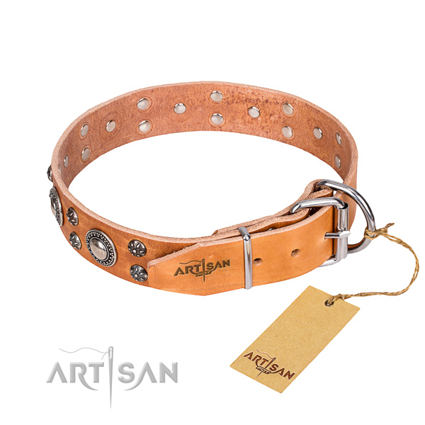 Daily use embellished dog collar of reliable genuine leather