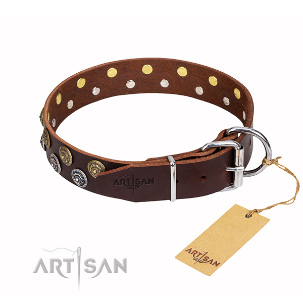 Stylish walking embellished dog collar of finest quality natural leather
