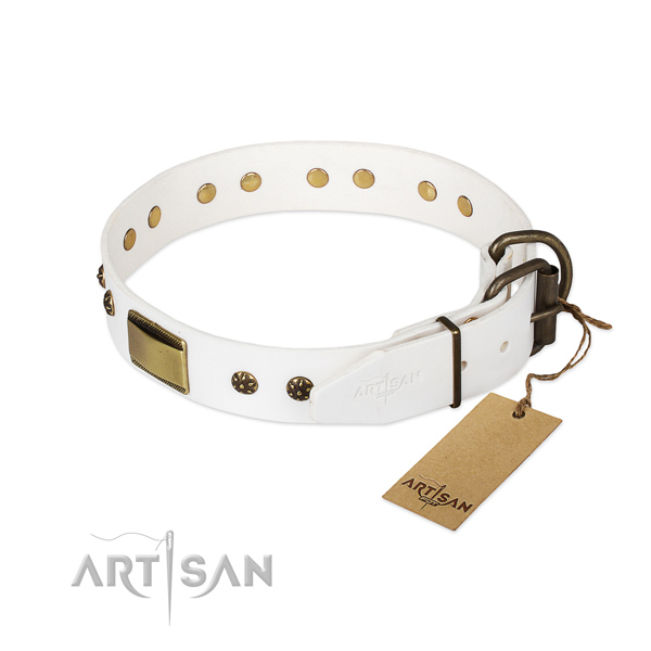 Genuine leather dog collar with reliable D-ring and studs