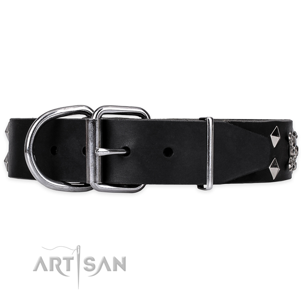 Daily walking adorned dog collar of top notch genuine leather