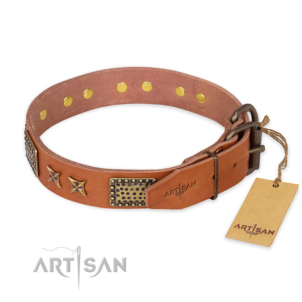 Corrosion proof buckle on full grain leather collar for your impressive four-legged friend