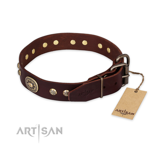 Durable traditional buckle on leather collar for walking your pet