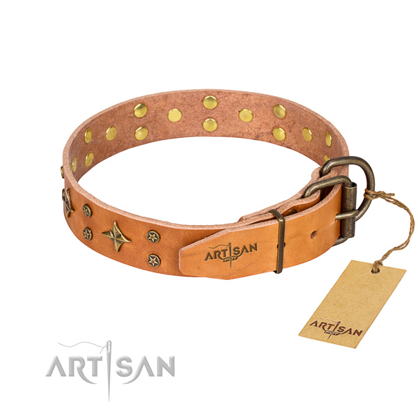 Daily walking embellished dog collar of durable full grain natural leather