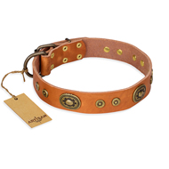 "Dandy Pet" FDT Artisan Handcrafted Tan Leather Labrador Collar "Dandy Pet" FDT Artisan Handcrafted Tan Leather Labrador Collar