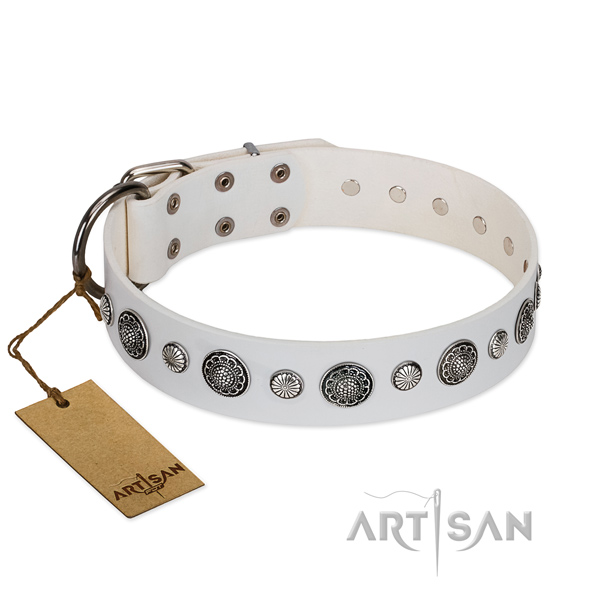 Durable full grain leather dog collar with rust-proof traditional buckle