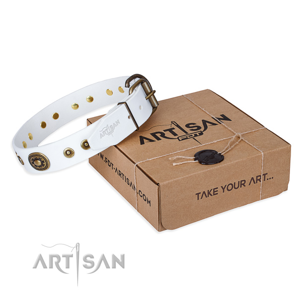 Full grain leather dog collar made of top notch material with corrosion proof hardware