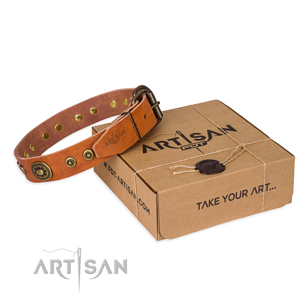 Full grain natural leather dog collar made of flexible material with reliable traditional buckle