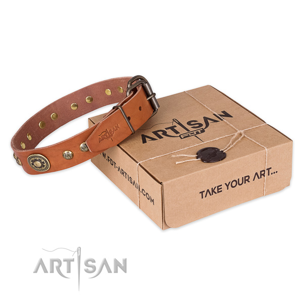 Rust resistant D-ring on leather dog collar for basic training