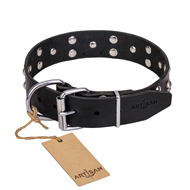 "Mystic Skulls" Decorated Leather Labrador Collar with Skulls and Studs