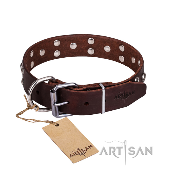 Fancy walking dog collar of fine quality full grain leather with decorations