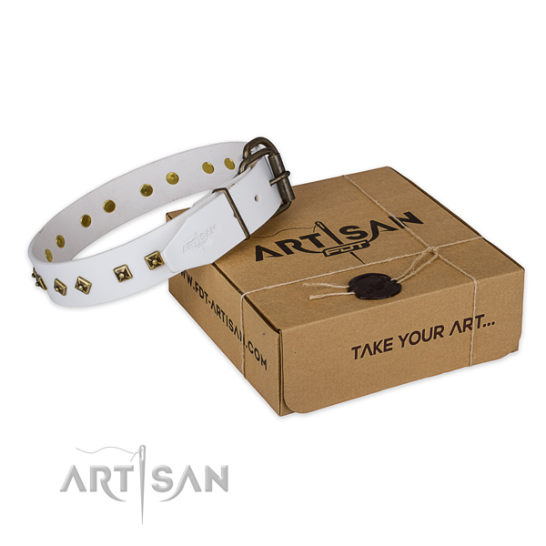 Rust resistant fittings on leather dog collar for daily walking
