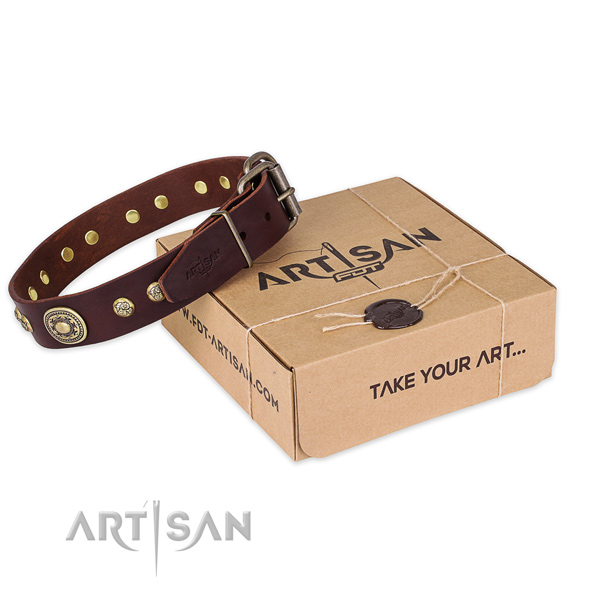 Rust resistant D-ring on full grain leather dog collar for walking