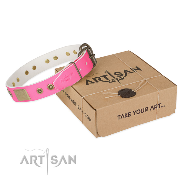 Durable hardware on dog collar for basic training