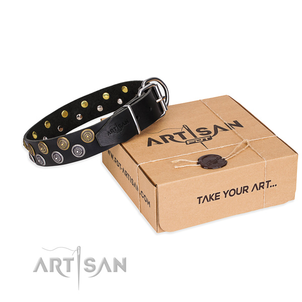 Daily walking dog collar of best quality full grain genuine leather with embellishments