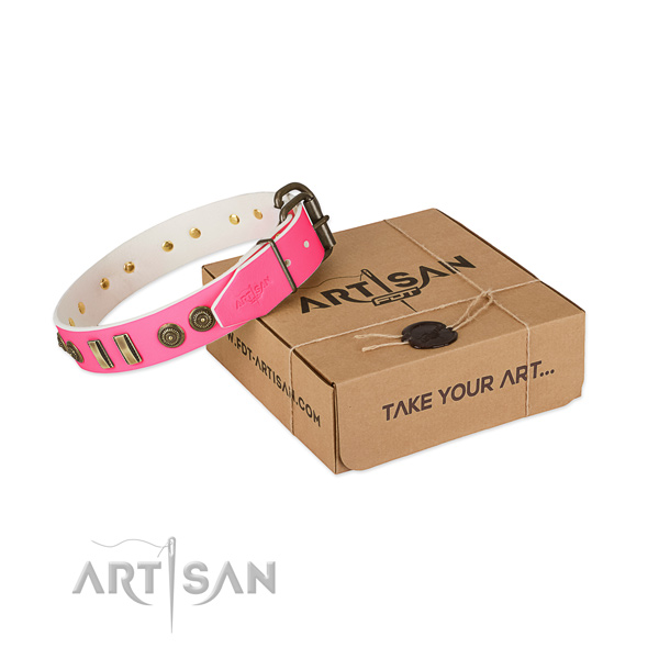 Corrosion proof studs on full grain leather dog collar for your dog