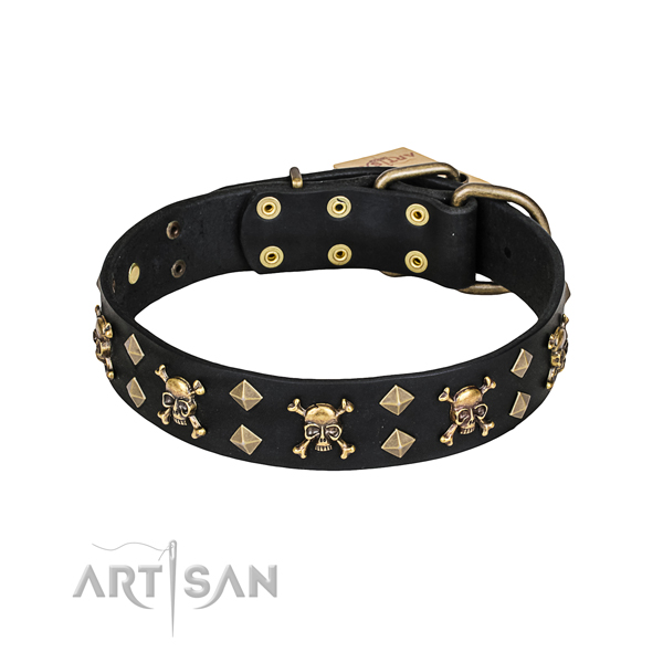 Handy use dog collar of top quality full grain genuine leather with adornments