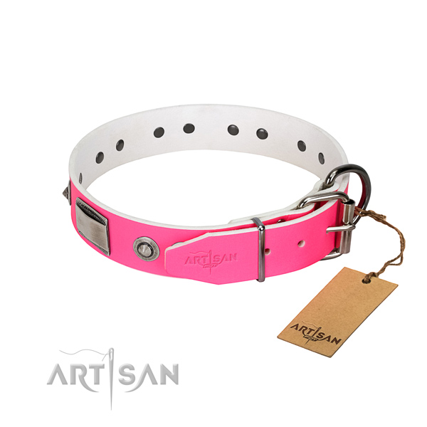 Remarkable dog collar of natural leather with embellishments