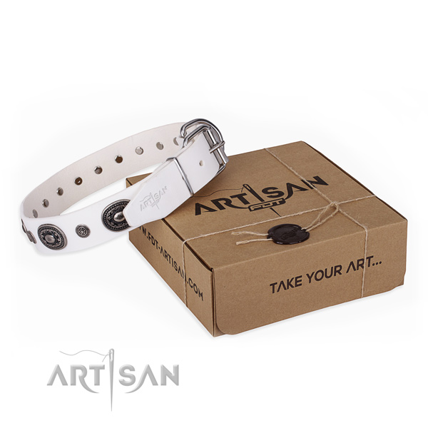 High quality genuine leather dog collar made for daily use
