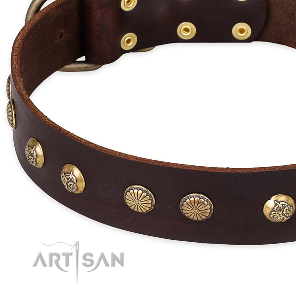 Genuine leather collar with corrosion resistant fittings for your handsome canine