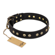 "Black Elegance" FDT Artisan Leather Labrador Collar with Round Studs "Black Elegance" FDT Artisan Leather Labrador Collar with Round Studs