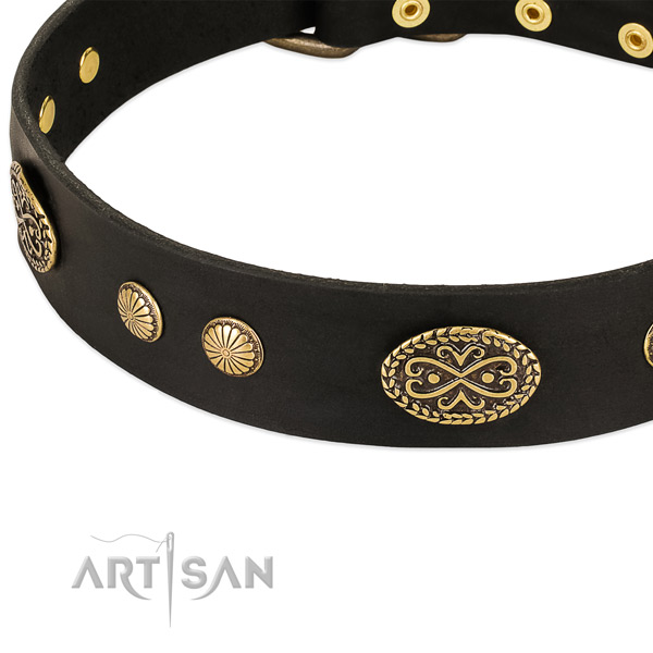 Corrosion proof decorations on leather dog collar for your canine