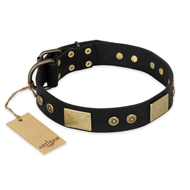 "Spanish night" FDT Artisan Fashionable Leather Walking Labrador Collar