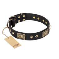 "Jewel Passion" FDT Artisan Fashionable Black Leather Labrador Collar