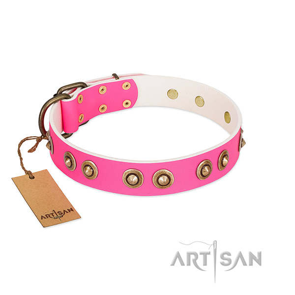 Best quality full grain genuine leather dog collar for everyday use