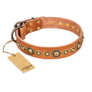 "Feast of Luxury" FDT Artisan Tan Leather Labrador Collar with Old Bronze Look Circles