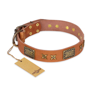 "Cosmic Traveller" FDT Artisan Adorned Leather Labrador Collar with Old Bronze-Plated Stars and Plates "Cosmic Traveller" FDT Artisan Adorned Leather Labrador Collar with Old Bronze-Plated Stars and Plates