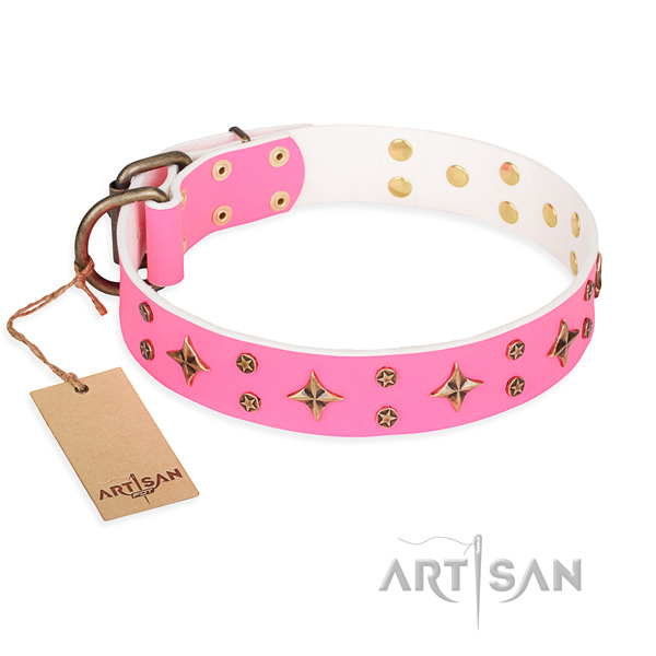 Fancy walking dog collar of top notch genuine leather with adornments