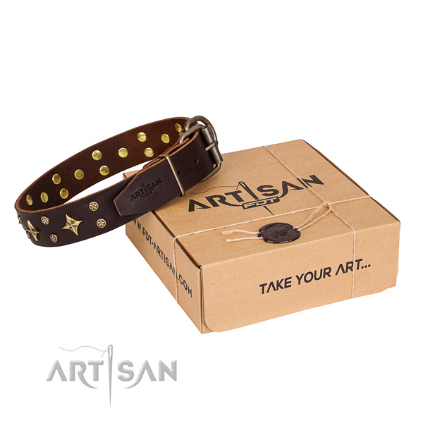 Daily use dog collar of reliable genuine leather with studs