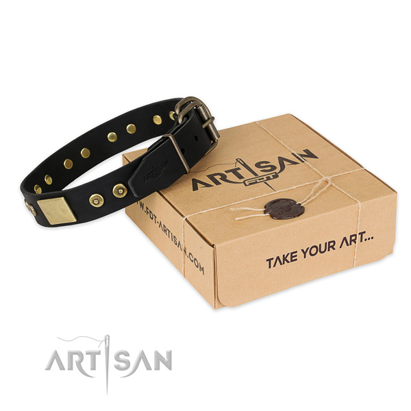 Rust-proof buckle on leather dog collar for comfortable wearing