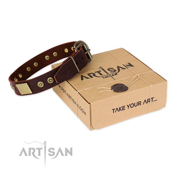 Durable decorations on dog collar for everyday walking