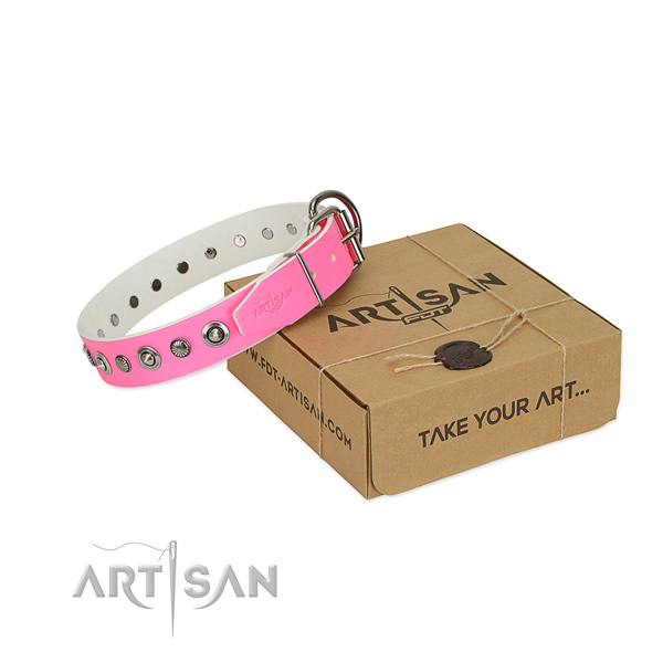 Durable leather dog collar with remarkable adornments