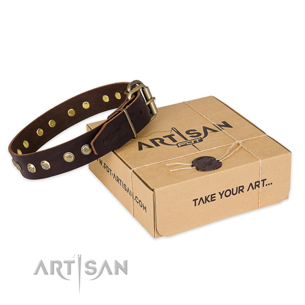 Reliable fittings on genuine leather collar for your handsome doggie