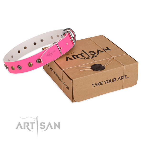 Comfy wearing dog collar with Awesome strong studs