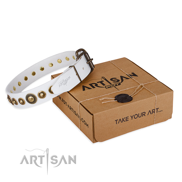 Reliable leather dog collar handmade for everyday walking