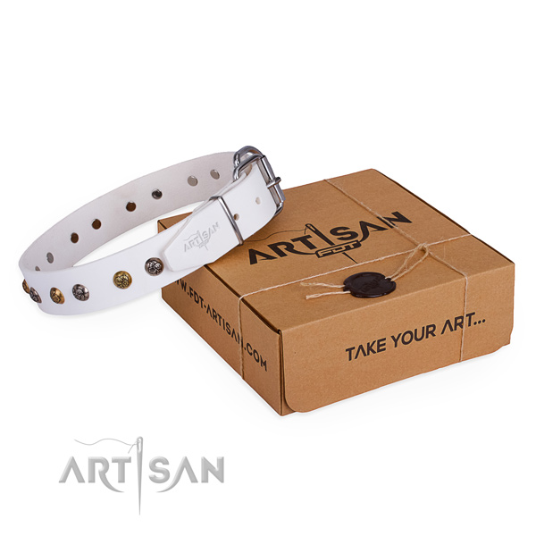 Basic training dog collar with Top notch durable decorations
