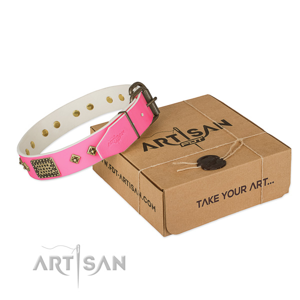 Rust resistant embellishments on dog collar for everyday use