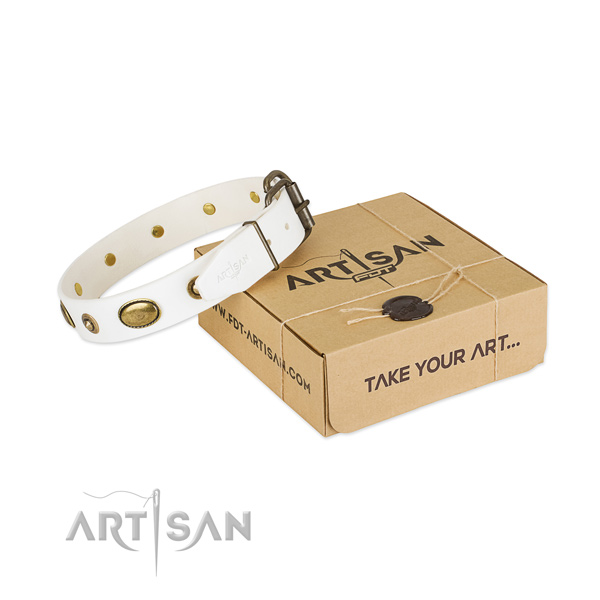 Adorned full grain natural leather collar for your impressive doggie