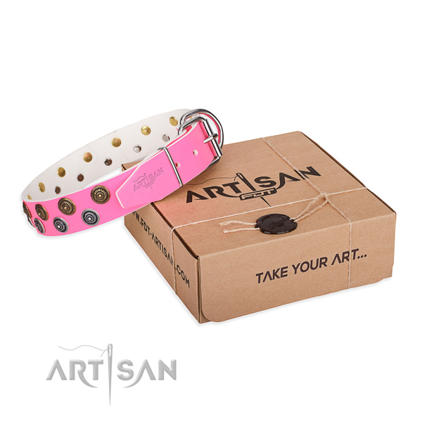 Daily walking dog collar of strong full grain genuine leather with decorations