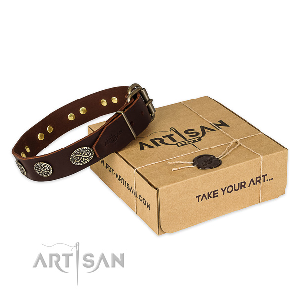 Durable D-ring on full grain natural leather collar for your attractive canine