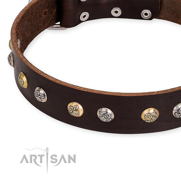 Leather dog collar with exquisite durable adornments