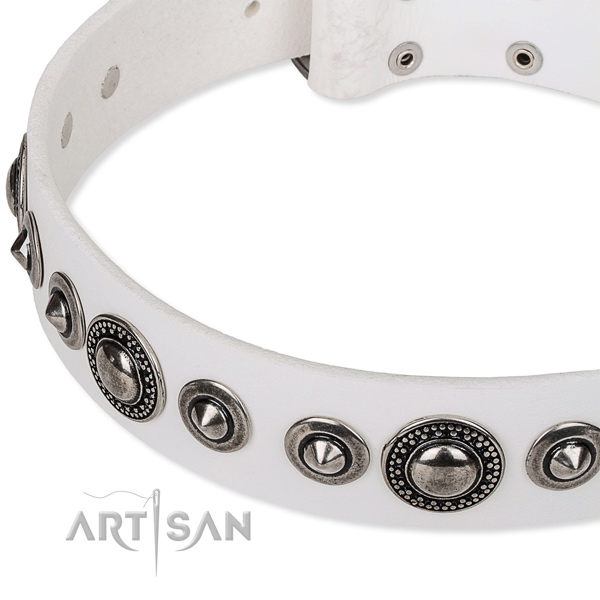 Walking adorned dog collar of durable full grain leather