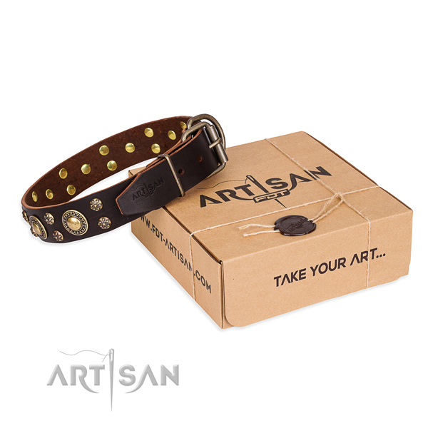 Handy use dog collar of top notch full grain leather with decorations