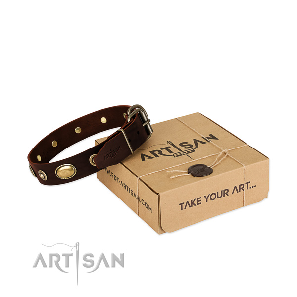Reliable embellishments on full grain genuine leather dog collar for your canine