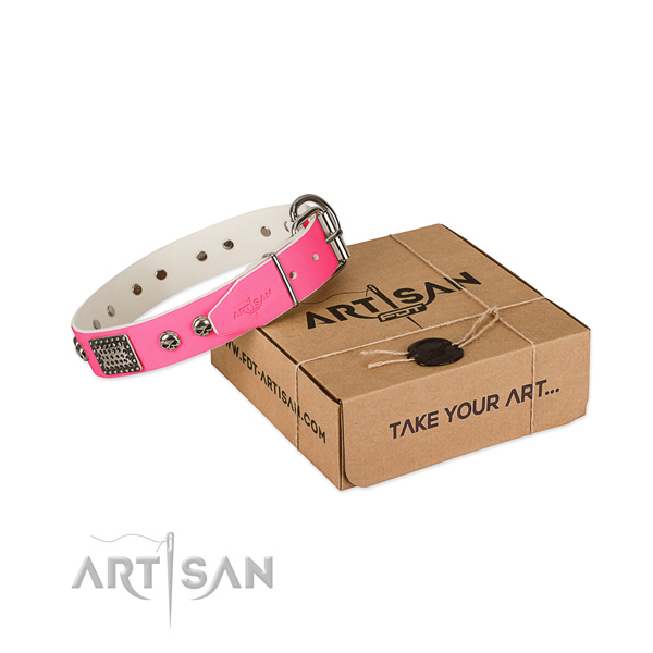 Rust-proof traditional buckle on dog collar for easy wearing