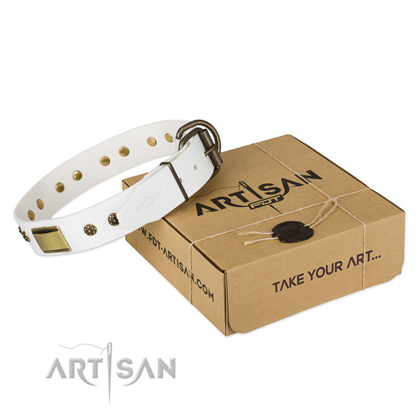 Exceptional leather collar for your lovely dog